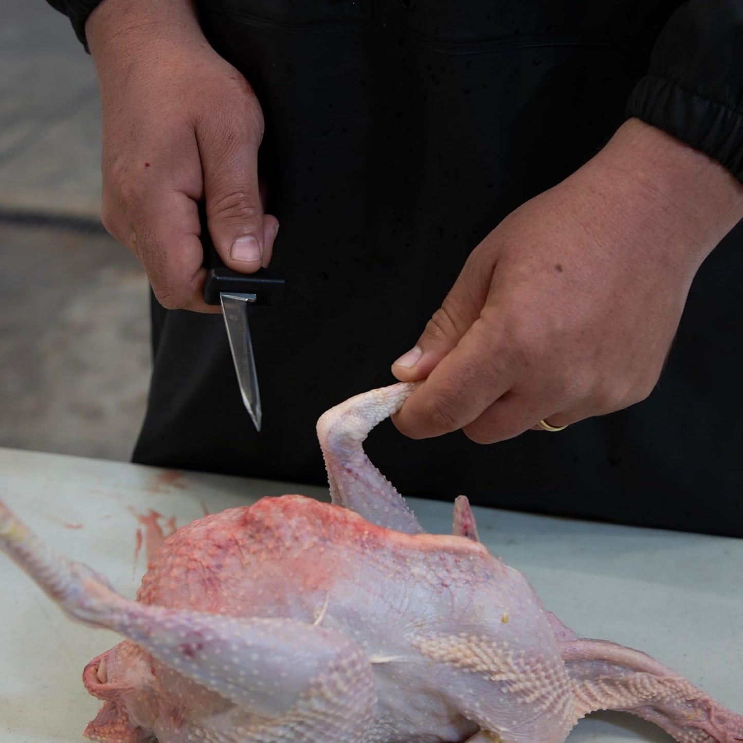 Poultry Processing Knife, 3.5" High-Carbon Stainless Steel Blade, Dual Cutting-Edge Tip, Slip-Resistant Handle, Model: 47185