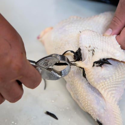 Poultry Processing Knife, 3.5" High-Carbon Stainless Steel Blade, Dual Cutting-Edge Tip, Slip-Resistant Handle, Model: 47185