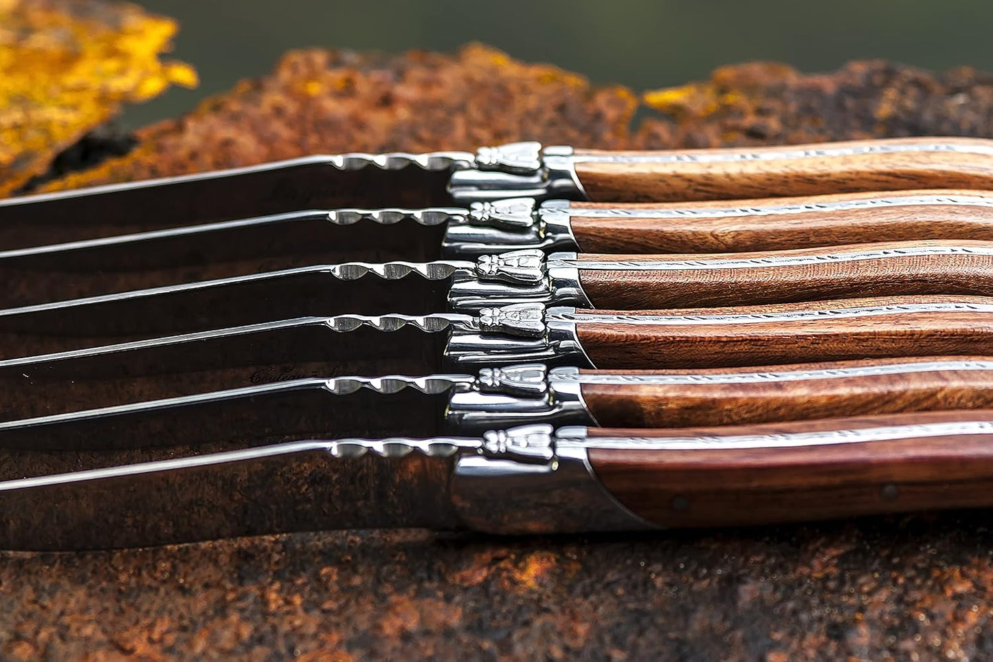 Steak Knives, Luxury Line, 6 Pieces, Olive Wood, in Giftbox