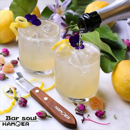 Channel Knife for Cocktails Lemon Twist Tool with a storage box | 2 Pack,Home Bars Bartender Gift,V-Shaped Stainless Steel Blade,Carving Tool for Garnishing,Wooden Handle