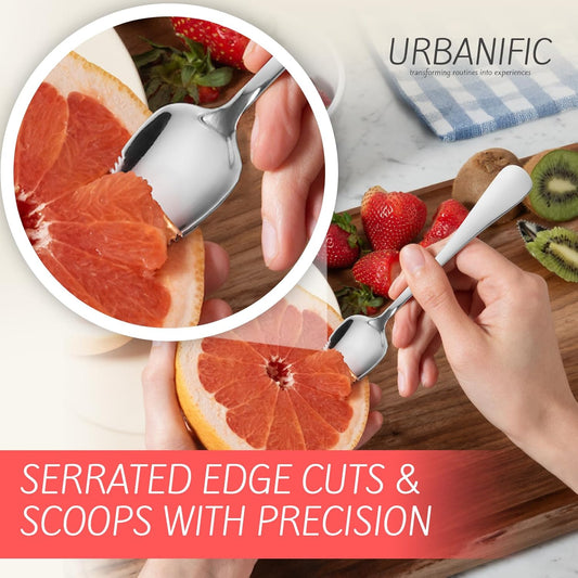 Grapefruit Spoons – Serrated Edge 304 Stainless Steel Spoon - 2PK | Easily Cut Citrus Fruits - Dishwasher Safe - Polished Mirror Finish