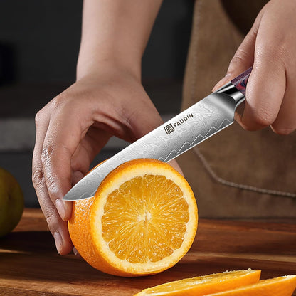 Utility Knife, 5 inch Paring knife, Damascus Chef Knife | Damascus VG10 Steel, Ergonomic Wood Handle, Ultra Sharp Multipurpose Chef Knife for Fruit, Vegetable & Meat, Gift Box