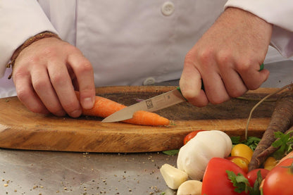 4 Inch Paring Knife - Straight Edge, High Carbon German Stainless Steel, Razor Sharp Blade, Rust-Proof, Perfect for Paring, Slicing, Dicing, Cutting and Chopping, Gray Polypropylene Handle