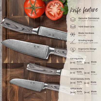 EDIS Damascus Kitchen Knife Set, 4-Piece VG10 Core, Pakkawood Handle | Santoku, carving, small santoku and paring knives cover roast slicing, vegetable prep, herbs, fruit, and trimming, gift box