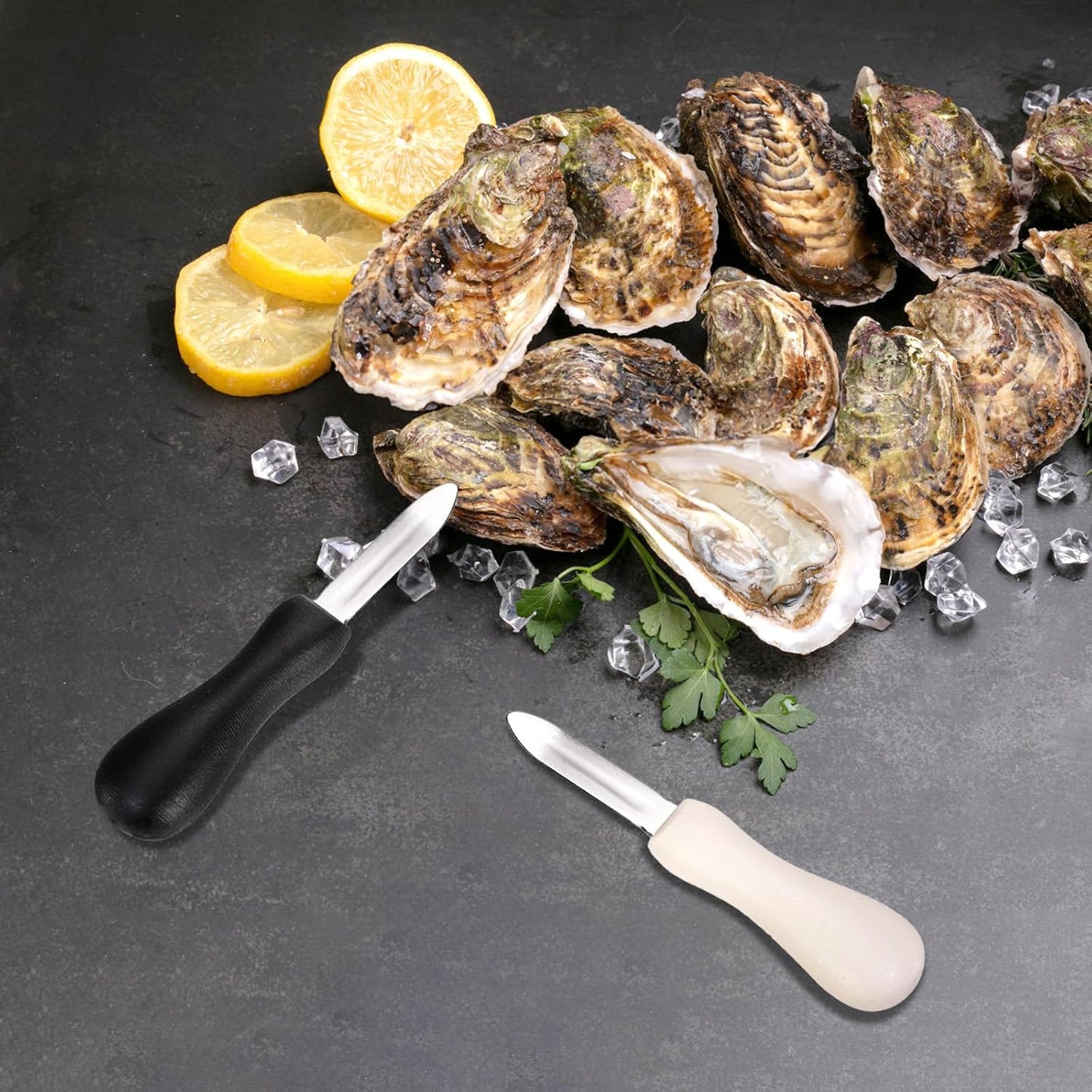 10 Pack Oyster Shucking Knife, Stainless Steel Oyster Knife Oyster Shucker Clam Knife, Oyster Knives Suitable for All Kinds of Shells and Oysters Shucking(White+ Black)