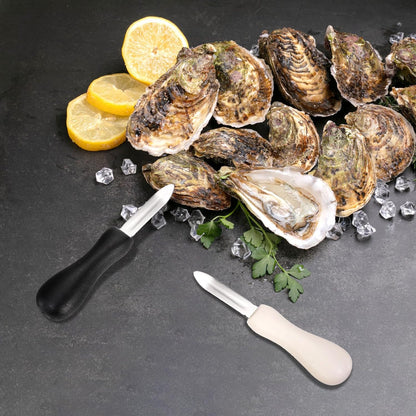 10 Pack Oyster Shucking Knife, Stainless Steel Oyster Knife Oyster Shucker Clam Knife, Oyster Knives Suitable for All Kinds of Shells and Oysters Shucking(White+ Black)