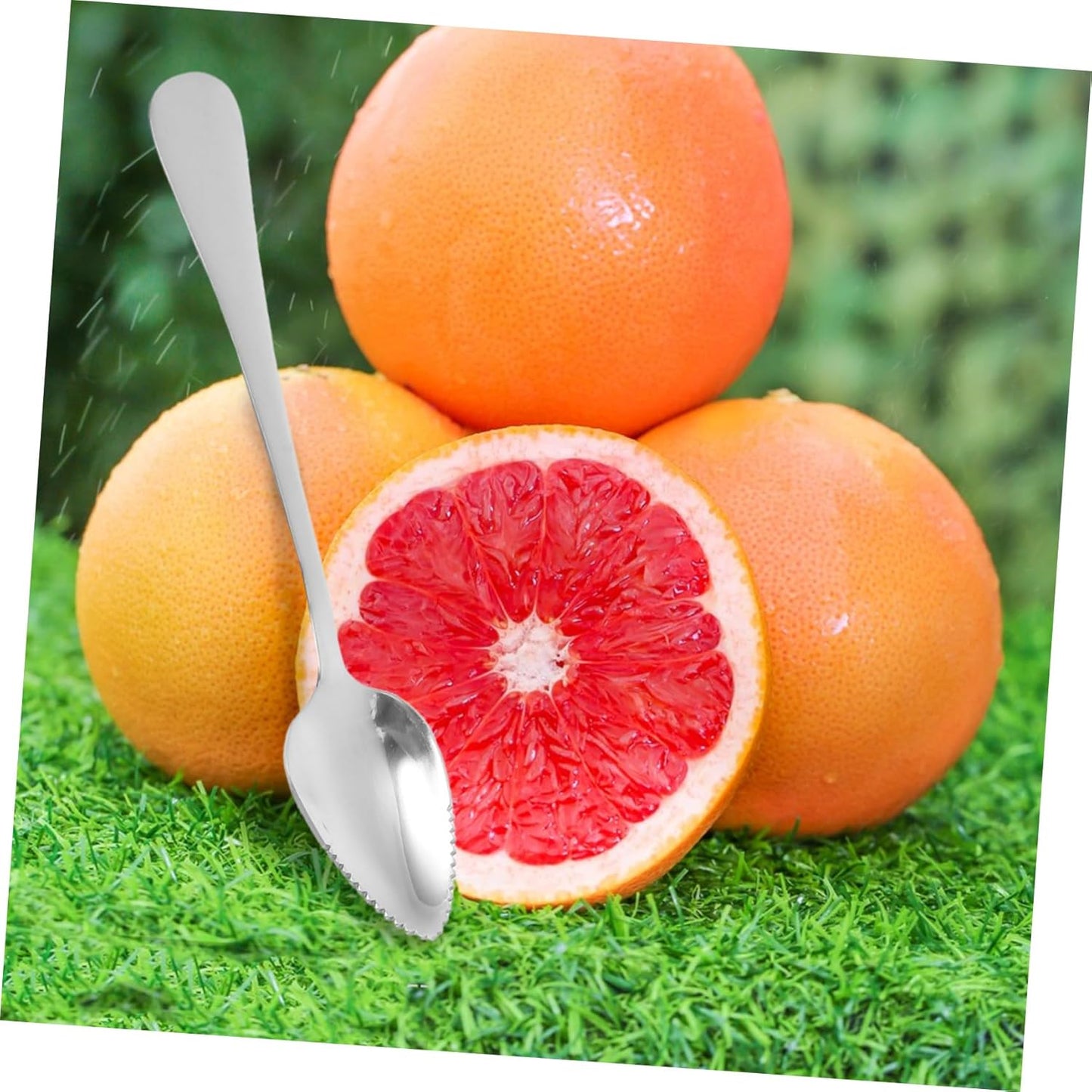 IMIKEYA Stainless Steel Grapefruit Spoons and Knife Set with Serrated Edges Ergonomic Handle for Easy Cutting of Kiwi and Desserts Kitchen Utensil Set