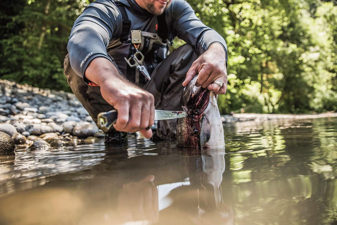 Gerber Controller 6 in. Freshwater Fish Fillet Knife