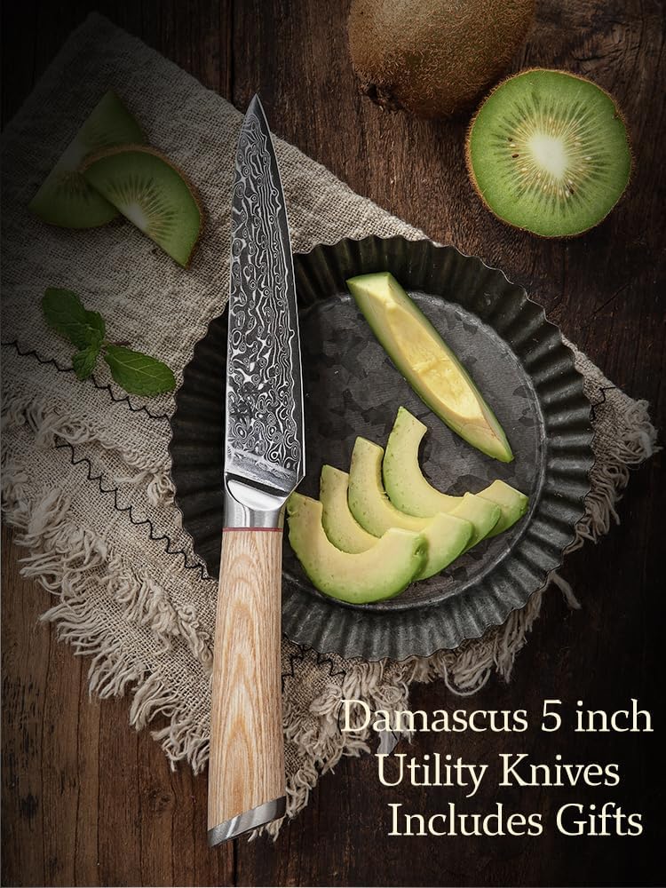 DONGSUN 8 Inch Damascus Chef Knife with North American Black Walnut Sheath, 67-Layer VG10 Forged Steel Japanese Gyuto, Professional Durable Sharpness