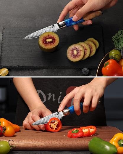 Classic Paring Knife 3.5 Inch, Japanese VG10 Steel Damascus Fruit Knife, Sharp Small Kitchen Knife with Gift Box and Resin Wood Handle,Ideal Birthday Gift for Men and Women