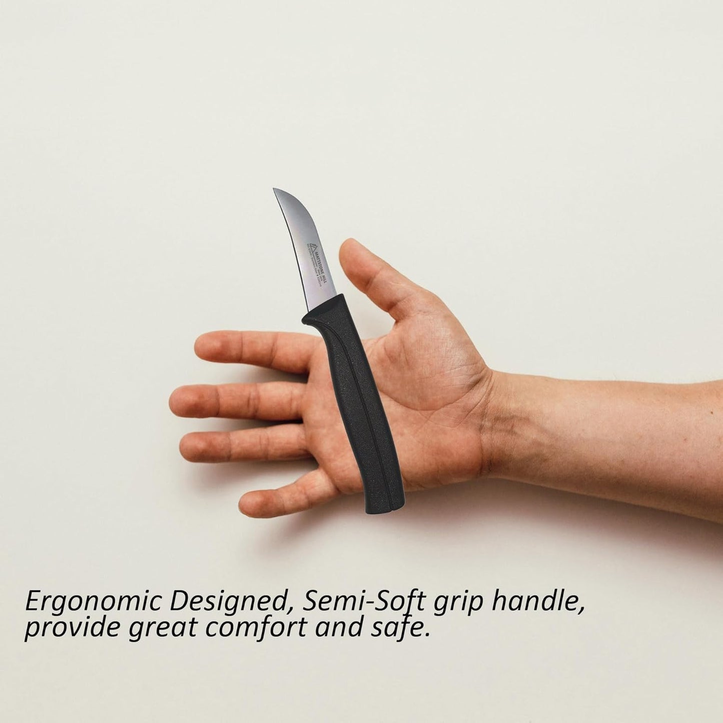 Kitchen Utility Knife - MATTSTONE HILL 4 Inch Paring Knife, Small Fruit & Vegetable Knife, Premium German Stell Blade, Black Handle