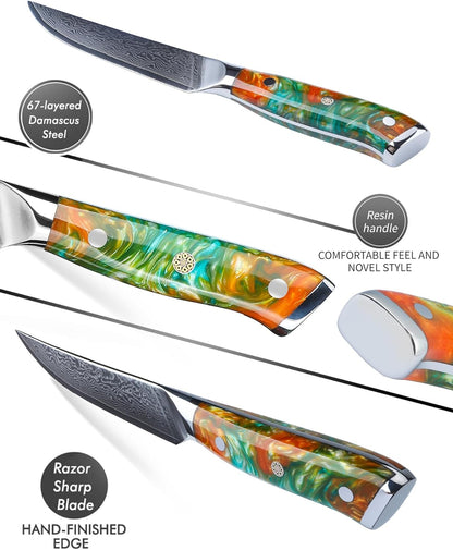 Steak Knives Set of 4, Ultra Sharp Non Serrated Kitchen Steak Knife 5 Inch - Damascus Steel & Resin Handle - Xuan Series (Sapphire Blue)