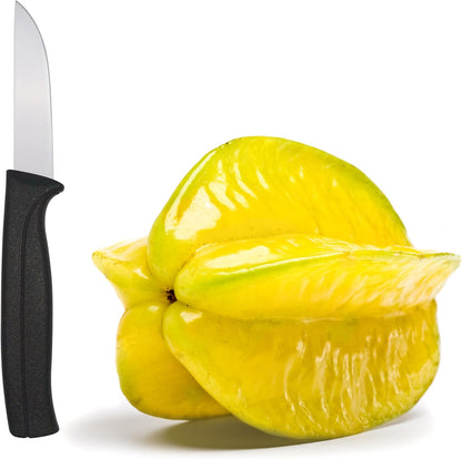 Kitchen Utility Knife - MATTSTONE HILL 4 Inch Paring Knife, Small Fruit & Vegetable Knife, Premium German Stell Blade, Black Handle