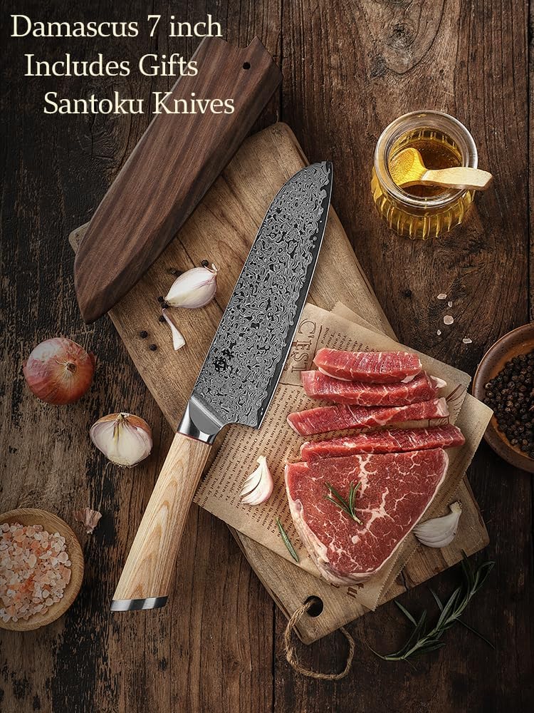 DONGSUN 8 Inch Damascus Chef Knife with North American Black Walnut Sheath, 67-Layer VG10 Forged Steel Japanese Gyuto, Professional Durable Sharpness