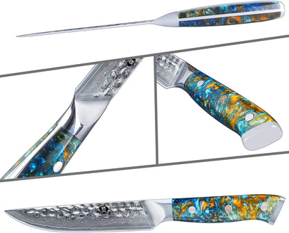 WILDMOK Steak Knife Set 4pc Full Tang 5 inch Forged Damascus Steel Dinner Knives Full Tang Ergonomic Beautiful Resin Handle