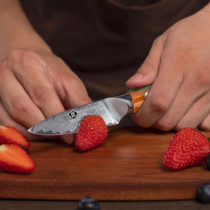 WILDMOK Paring Knife 3.5 Inch, Japanese Damascus Fruit Knife, Small peeling knife Perfect for Cutting Fruit Vegetables Petty Knife
