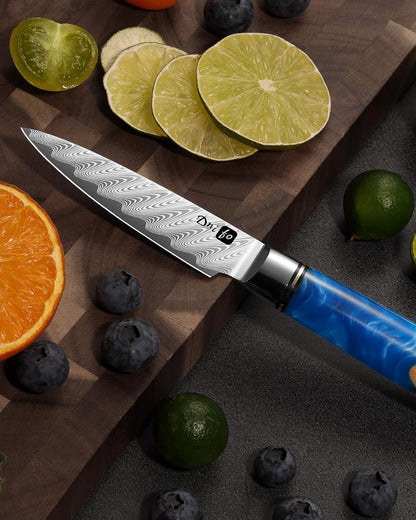 Classic Paring Knife 3.5 Inch, Japanese VG10 Steel Damascus Fruit Knife, Sharp Small Kitchen Knife with Gift Box and Resin Wood Handle,Ideal Birthday Gift for Men and Women