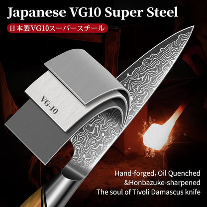 TIVOLI Japanese Gyuto Knife 10 Inch– VG-10 Damascus Chef Knife with Razor Sharp Blade and Ergonomic Olive Wood Handle, Ideal for Meat, Vegetables & Daily Cooking