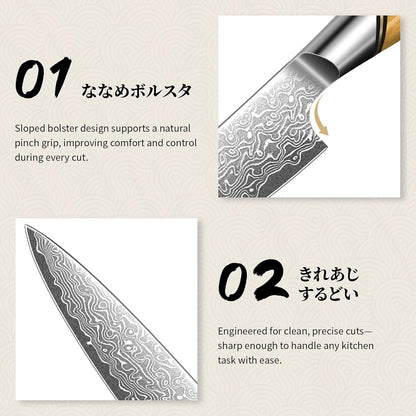 TIVOLI Japanese Gyuto Knife 10 Inch– VG-10 Damascus Chef Knife with Razor Sharp Blade and Ergonomic Olive Wood Handle, Ideal for Meat, Vegetables & Daily Cooking