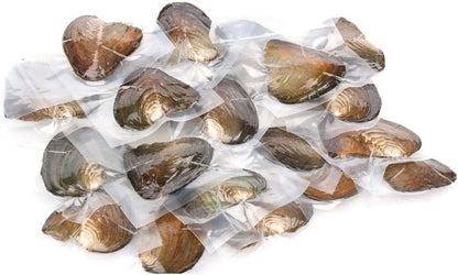 10PC Freshwater Pearl Cultured Oyster with Pearls Inside - Love Wish Gift for Children, Family, Friends - Perfect for Parties (6-8mm, 10PC)
