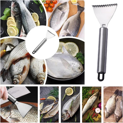 4 Pack Fish Scaler Scale Remover Stainless Steel Rake Teeth Scraping Tool Descaler Knives Scales Cleaning Descaling Scraper for Bream Salmon Fishes Seafood Market Kitchen