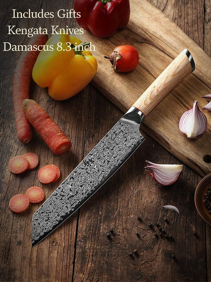 DONGSUN 8 Inch Damascus Chef Knife with North American Black Walnut Sheath, 67-Layer VG10 Forged Steel Japanese Gyuto, Professional Durable Sharpness