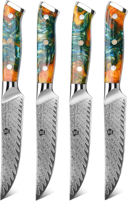 WILDMOK Steak Knife Set 4pc Full Tang 5 inch Forged Damascus Steel Dinner Knives Full Tang Ergonomic Beautiful Resin Handle
