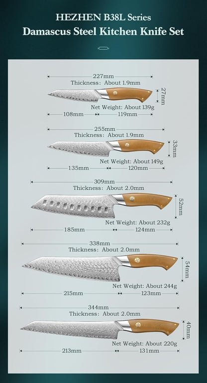 HEZHEN Damascus Chef Knife, 8.5 Inches, 67 Layers Damascus Steel, Professional Japanese Kitchen Knife for Chefs and Home Cooking, Ultra-sharp Blade with Linen Micarta Handle, Gift Packing