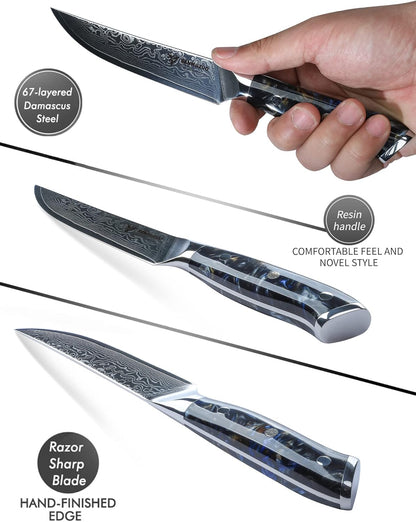 Steak Knives Set of 4, Ultra Sharp Non Serrated Kitchen Steak Knife 5 Inch - Damascus Steel & Resin Handle - Xuan Series (Sapphire Blue)
