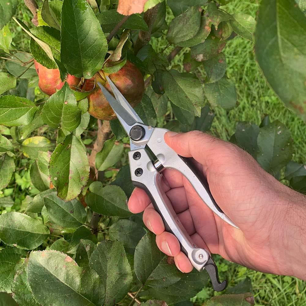 Pruning Shears - Garden Scissors Florist Snips - 2.5” Blades - Flower Scissors for Cutting Fresh Flowers, Trimming, or Harvesting Herbs or Fruit - Pruners for Gardening Tools by Kings County Tools