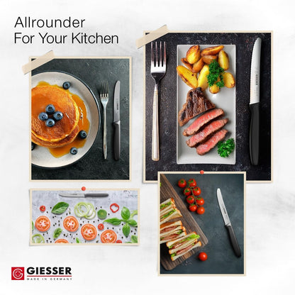 Giesser since 1776, Made in Germany, Serrated kitchen knives round tip dishwasher safe 4.5 inch - Tomato knife, Steak knive set of 6 (MIX Color)