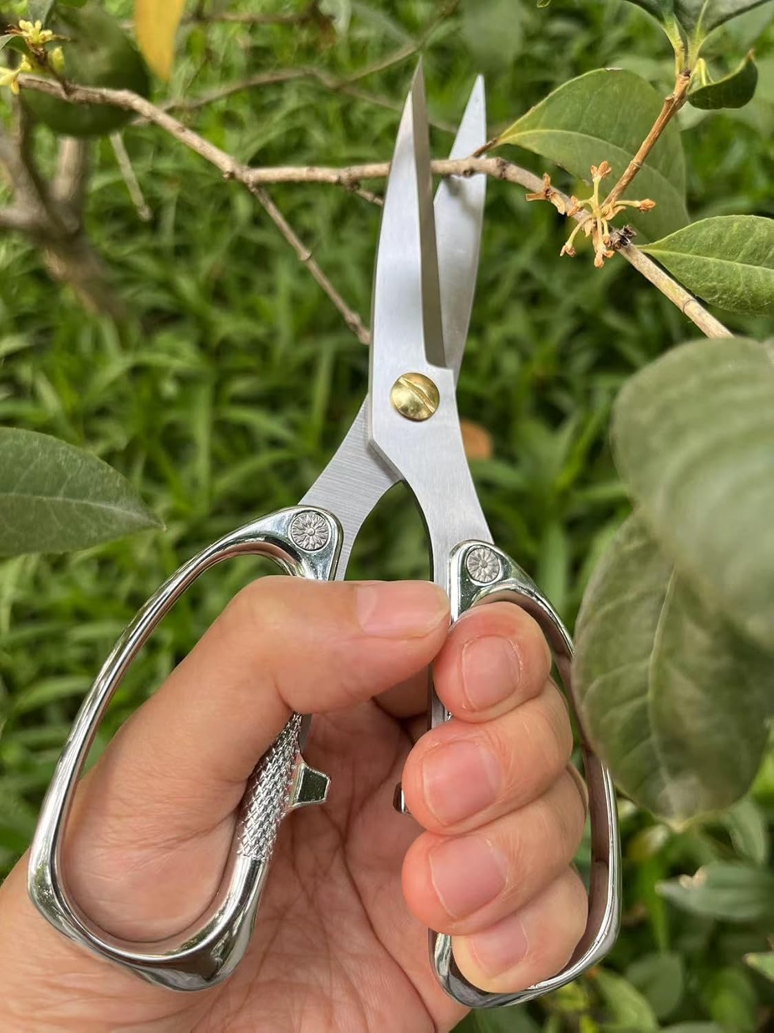 Indoor Plant Shears Garden Scissors, Flower Pruners Made of Japan SK5 Stainless Steel, Flowers Herbs and Plant Cutters, Clippers, Trimmers, Loppers, Bonsai Potted Plant Pruning Scissors