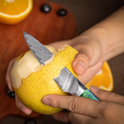 WILDMOK Paring Knife 3.5 Inch, Japanese Damascus Fruit Knife, Small peeling knife Perfect for Cutting Fruit Vegetables Petty Knife