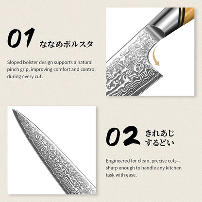 TIVOLI Japanese Gyuto Knife 10 Inch– VG-10 Damascus Chef Knife with Razor Sharp Blade and Ergonomic Olive Wood Handle, Ideal for Meat, Vegetables & Daily Cooking