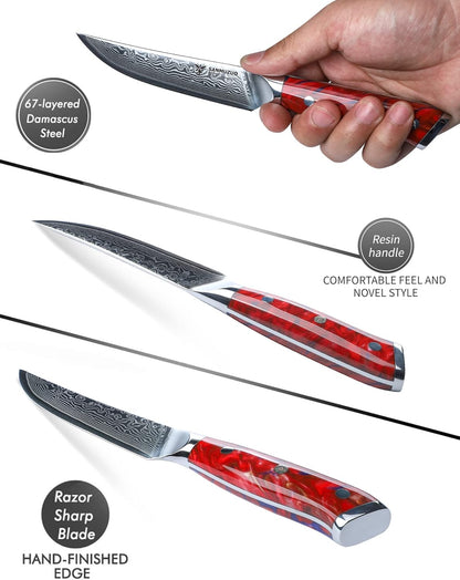 Steak Knives Set of 4, Ultra Sharp Non Serrated Kitchen Steak Knife 5 Inch - Damascus Steel & Resin Handle - Xuan Series (Sapphire Blue)