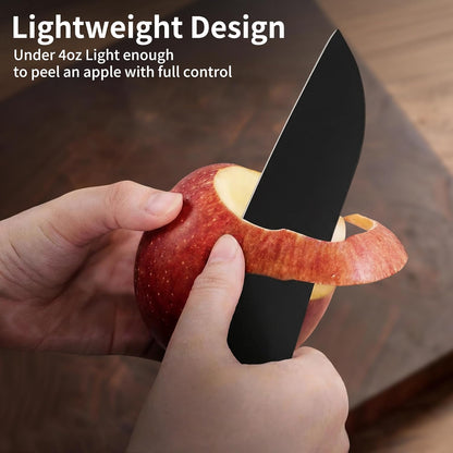 6.7 Inch Santoku Knife, Made in Japan, High Carbon Molybdenum Stainless Steel Japanese Chef Knife with Sakura Handle, Kitchen Knife for Slicing Meat, Vegetable & Fruit