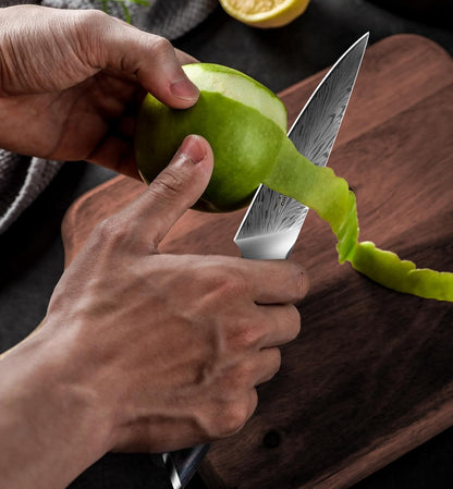 5PCS Knife Set, Kitchen Knife Sets in Powder Steel, Ultra Sharp Japanese Knives Set High Carbon Steel Chef Knives Sets, Cooking Knives Set with Ergonomic Pakkawood Handle