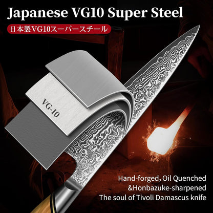 TIVOLI Japanese Gyuto Knife 10 Inch– VG-10 Damascus Chef Knife with Razor Sharp Blade and Ergonomic Olive Wood Handle, Ideal for Meat, Vegetables & Daily Cooking