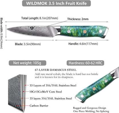 WILDMOK Paring Knife 3.5 Inch, Japanese Damascus Fruit Knife, Small peeling knife Perfect for Cutting Fruit Vegetables Petty Knife