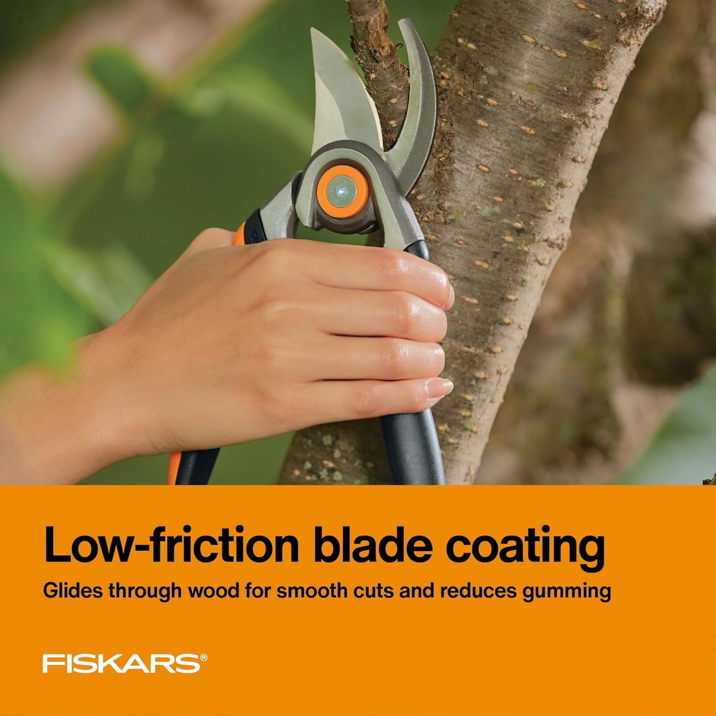 Fiskars 2-Piece Pruning & Veggie Shears Set, Explore Collection Garden Tool Kit, Bypass Pruner for Light Trimming, Vegetable Shears with Serrated Stainless Steel Blades for Harvesting Flowers & Herbs