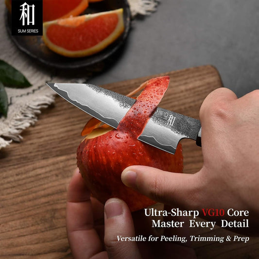 KAWAHIRO Paring Knife, 3.9" Razor-Sharp Fruit Knife with Japanese VG10 Steel Core, Hand Forged Small Kitchen Knife for Effortless Precision Control, Peeling, Trimming & Detail Work, Gift Box