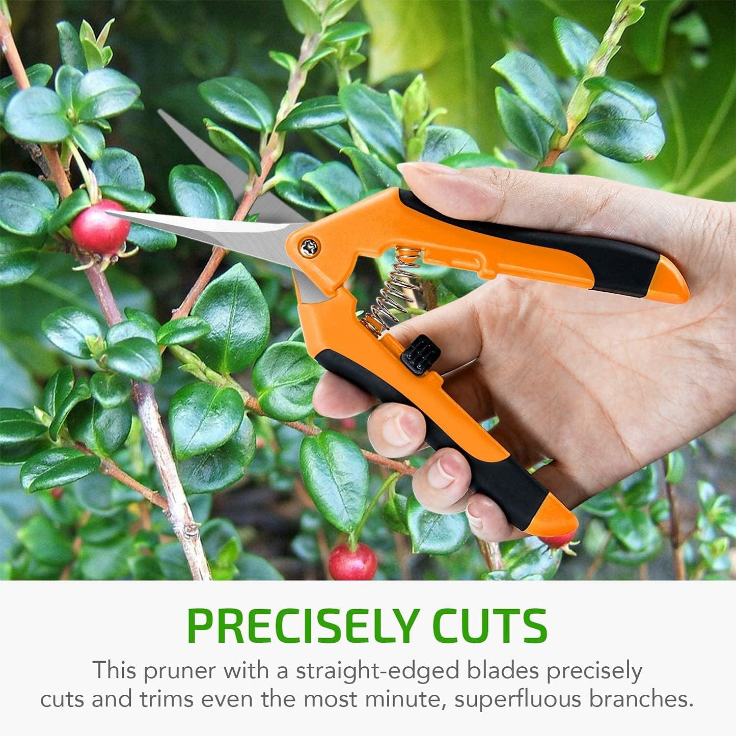 iPower 6.5 Inch Gardening Hand Pruner Pruning Shears Trimming Scissors with Straight Stainless Steel Blades for Bonsai, Herb, Bud, Hedge, 4-Pack, Yellow