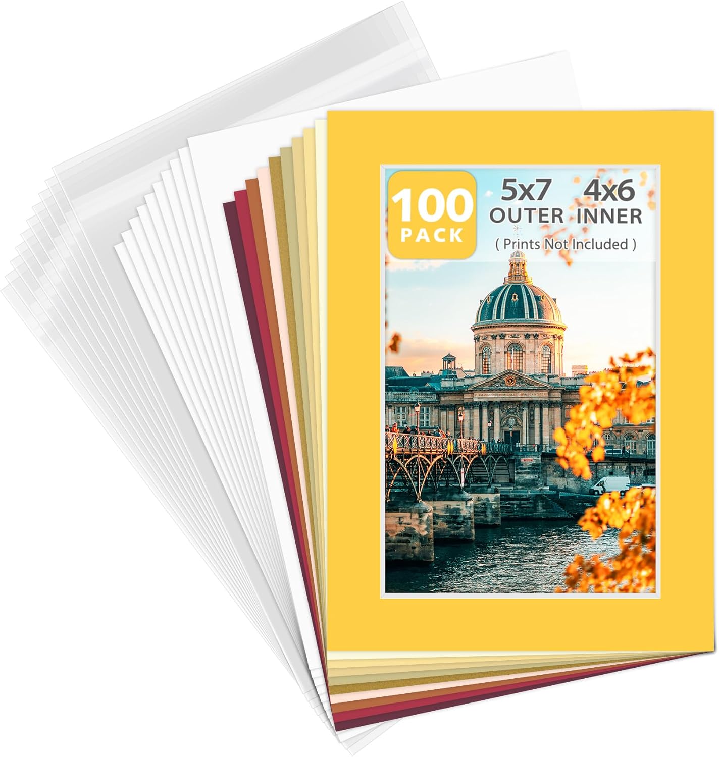 Golden State Art, Pack of 10 Mix Pre-Cut 5x7 Picture Mat for 4x6 Photo with White Core Bevel Cut Mattes Sets. Includes 10 High Premier Acid Free Bevel Cut Matts & 10 Backing Board & 10 Clear Bags