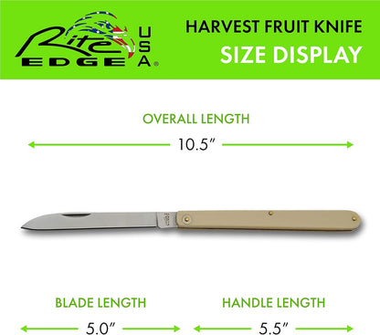 SZCO 10.5" Folding Fruit Knife with Drop Point Blade – Stainless Steel, Yellow Handle – Durable Foldable Pocket Knife for Men & Women for Cutting, Slicing, Piercing & Everyday Carry (EDC)