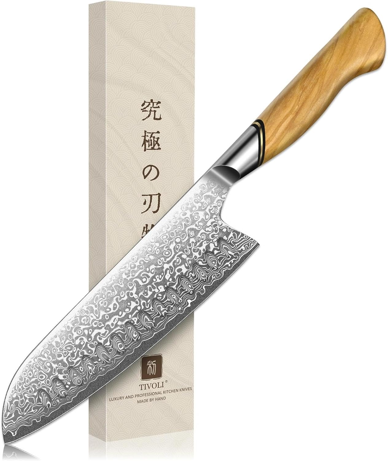 TIVOLI Japanese Gyuto Knife 10 Inch– VG-10 Damascus Chef Knife with Razor Sharp Blade and Ergonomic Olive Wood Handle, Ideal for Meat, Vegetables & Daily Cooking