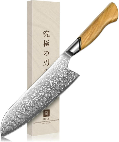 TIVOLI Japanese Gyuto Knife 10 Inch– VG-10 Damascus Chef Knife with Razor Sharp Blade and Ergonomic Olive Wood Handle, Ideal for Meat, Vegetables & Daily Cooking