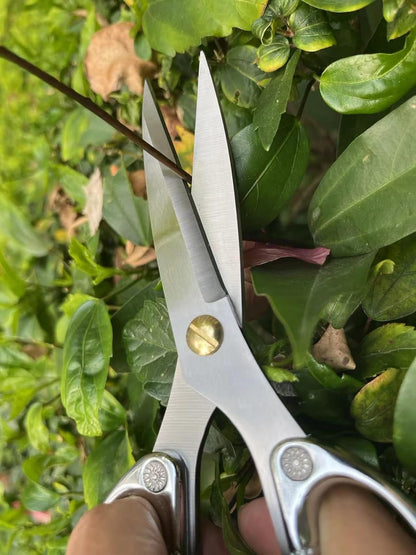 Indoor Plant Shears Garden Scissors, Flower Pruners Made of Japan SK5 Stainless Steel, Flowers Herbs and Plant Cutters, Clippers, Trimmers, Loppers, Bonsai Potted Plant Pruning Scissors