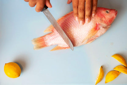 Commercial Blue Cutting Board - 24 x 18 Extra Large for Fish, Seafood and Shellfish, 1/2" Thick HDPP Plastic NSF Approved for Restaurants