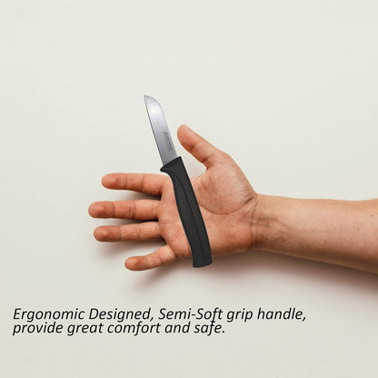 Kitchen Utility Knife - MATTSTONE HILL 4 Inch Paring Knife, Small Fruit & Vegetable Knife, Premium German Stell Blade, Black Handle