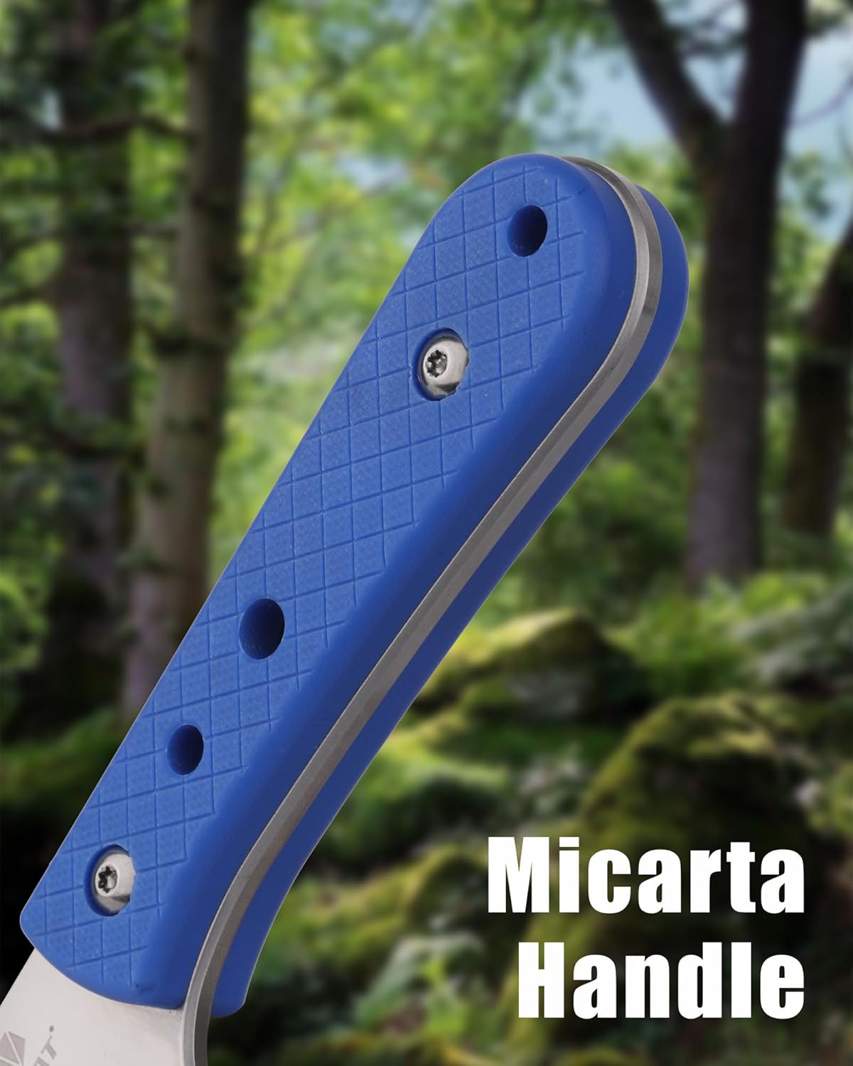REAT Fixed Blade Knife with Kydex Sheath, 3.75" D2 Steel Blade,Ergonomic G10 Handle, Sharp EDC Knife, Small Tool for Camping Survival Tactical Hiking,Gifts for Men,Women
